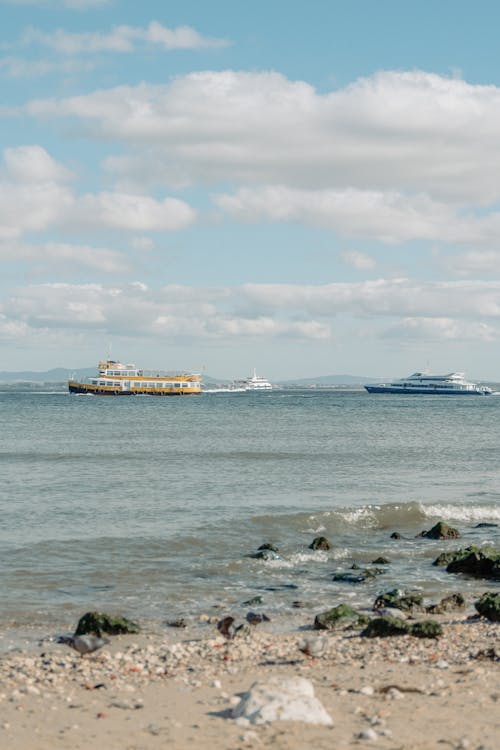 Ferry Boats Sailing in Sea near Shore