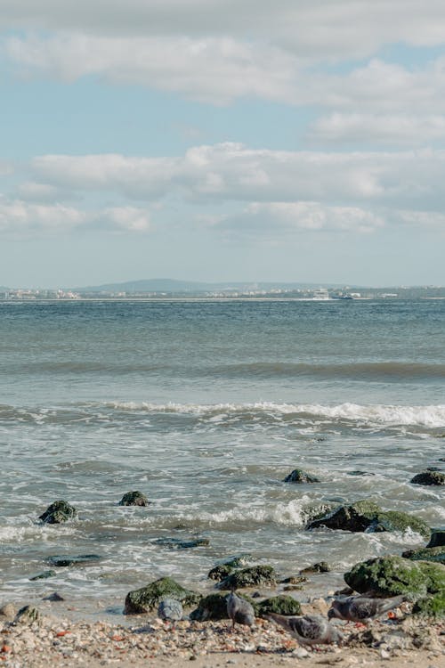 Foto profissional grátis de beira-mar, borrifando, litoral