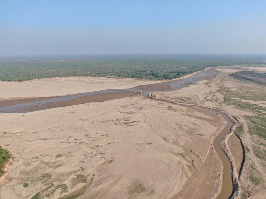 Paraguay’s Gran Chaco Reserve Expansion Faces Rising Deforestation Amid Weak Enforcement