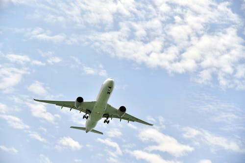 Photo of a Flying Aircraft 