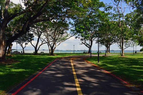 Free Biking path through a lush park leading to a scenic ocean view. Stock Photo