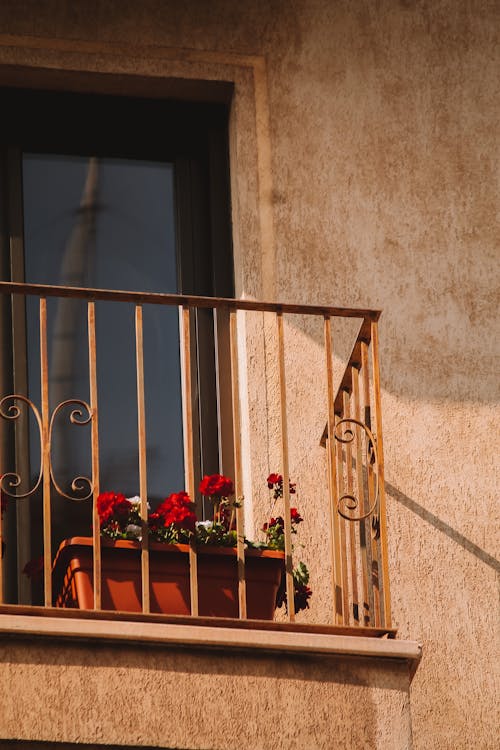 Gratis lagerfoto af altaner, balkon, blomster