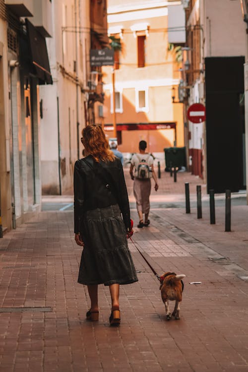 Back View of a Woman Walking the Dog in City 