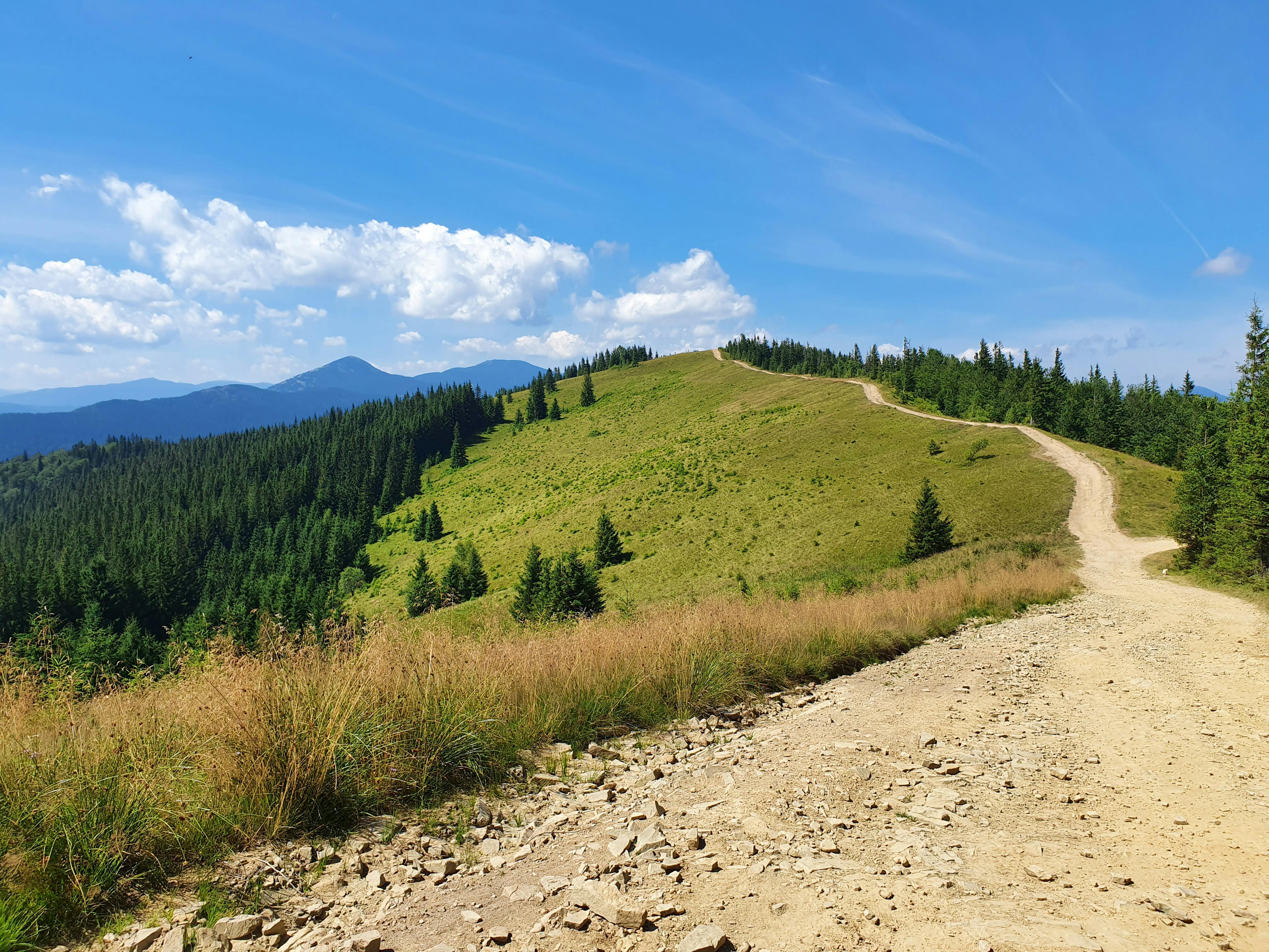 The journey to financial independence through financial literacy — Photo by Olha Shmatko on Pexels