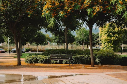 公園, 廣場, 木椅 的 免費圖庫相片