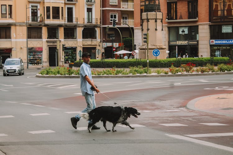 Man Walking Dog On Street