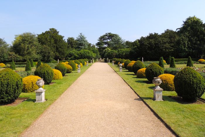 Clipped garden walk, photo by Patrick Nizan on Pexels