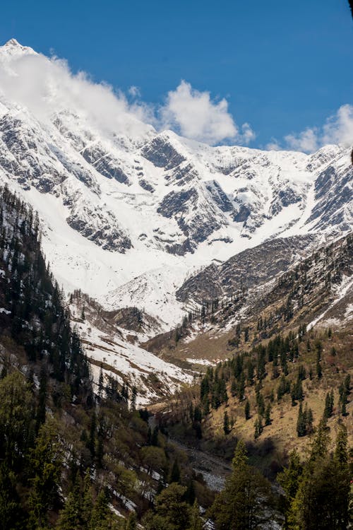 Free Valley and Snowed Mountains Stock Photo