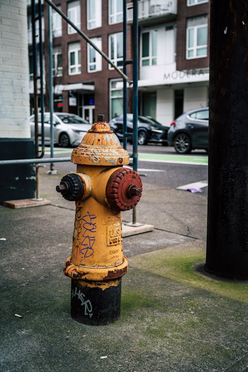Gratis stockfoto met auto's, geel, hydrant