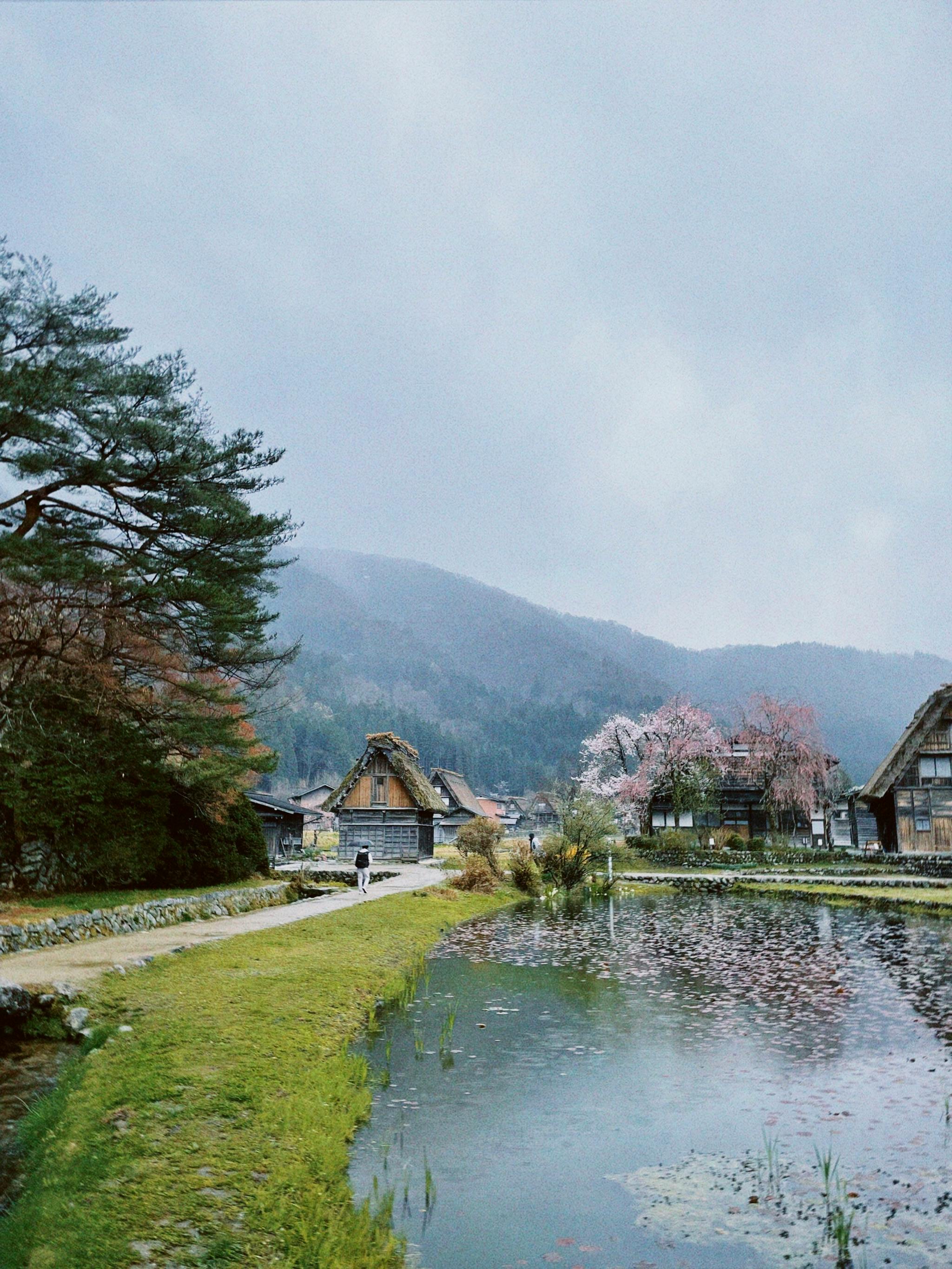 무료 벚꽃이 만발한 호숫가의 전통 일본 마을의 아름다운 전망. 스톡 사진