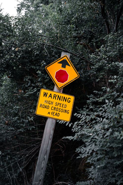 Free Tilted road signs cautioning about high-speed traffic, set within lush foliage. Stock Photo