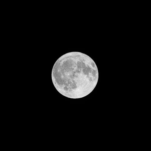 スペース, 天, 月の無料の写真素材