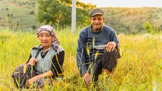An elderly couple seated in a rural field, savoring the serene summer countryside.