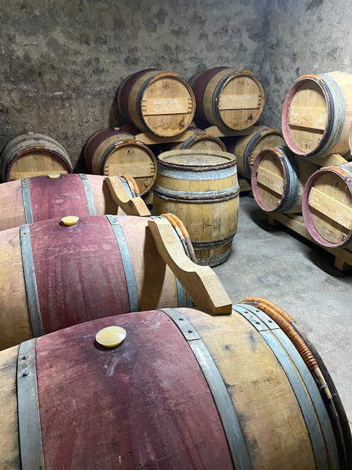 Free stock photo of barrels, champagne, cormoyeux