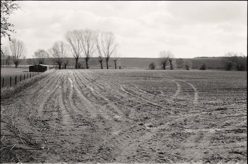 Darmowe zdjęcie z galerii z błoto, boiska, czarno-biały