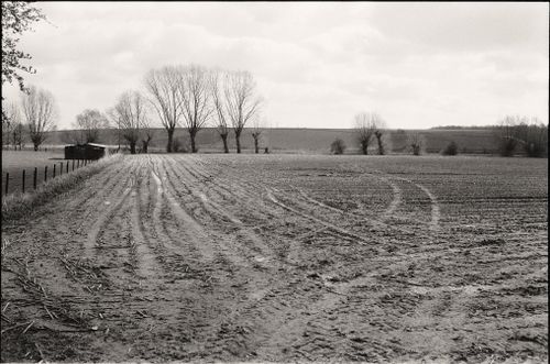 Free A serene rural landscape with muddy plowed fields and bare trees. Stock Photo