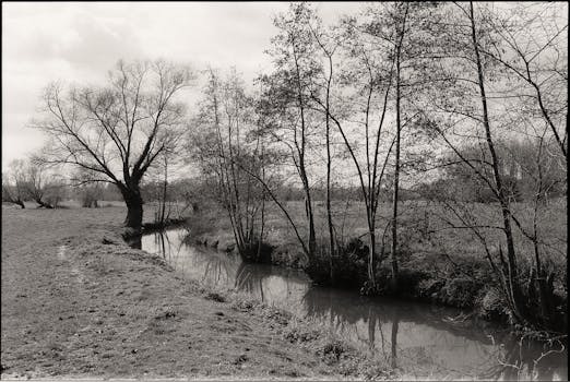 Tranquil countryside scene with river and trees in monochrome.