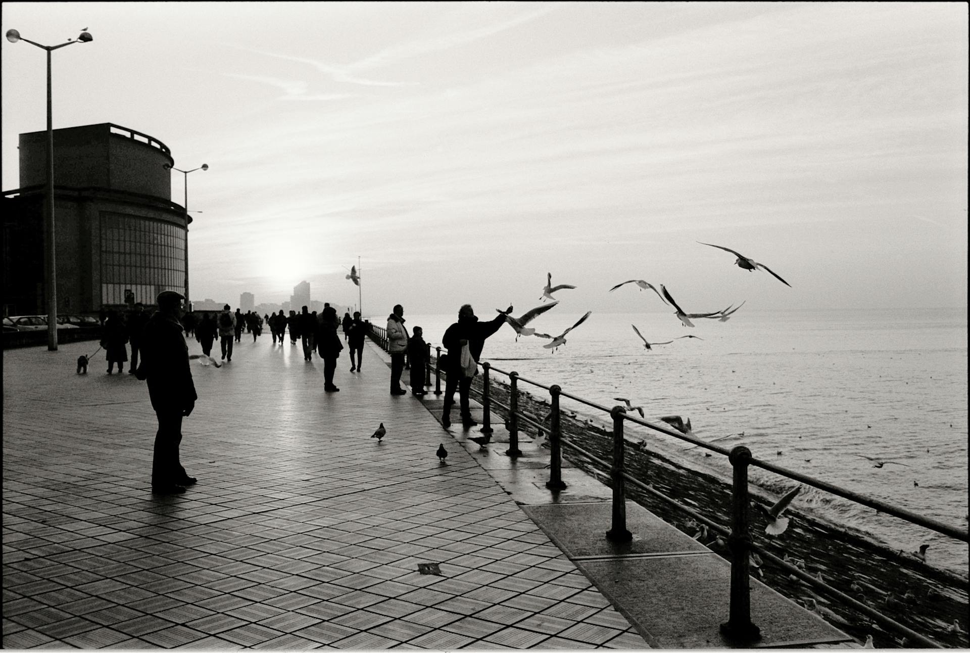 A serene black and white image capturing people and seagulls along the Ostend promenade by the sea.