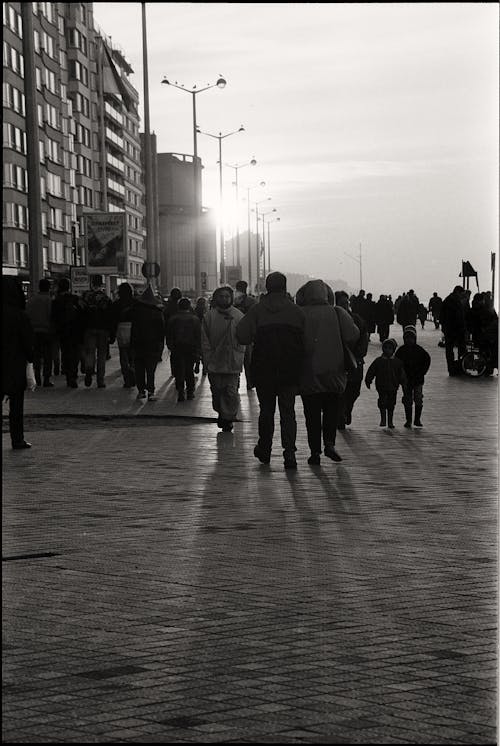 거리, 걷고 있는, 겨울의 무료 스톡 사진