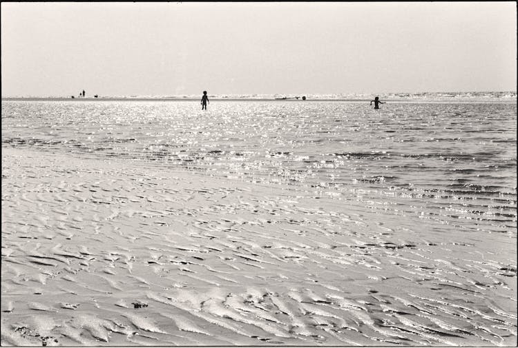 Kids Playing In Shallow Water Of Sea