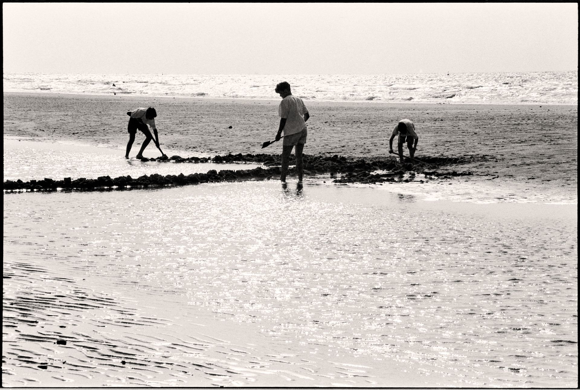 Monochrome beach photo capturing people digging in the sand along the shoreline.