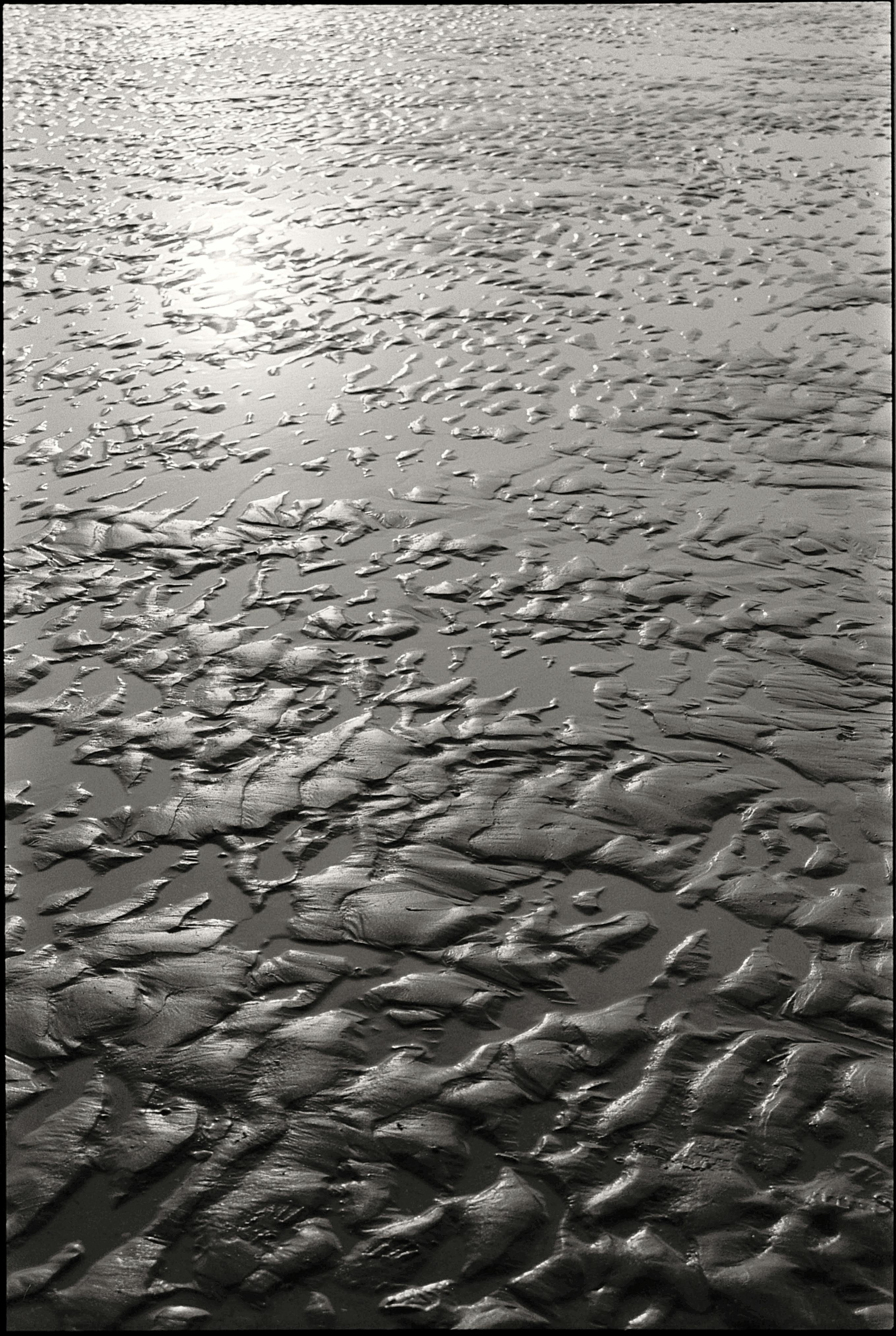 White Ripple Background Photos, Download The BEST Free White Ripple ...