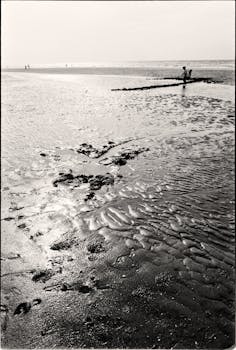 Tranquil black and white beach scene capturing the expansive horizon.