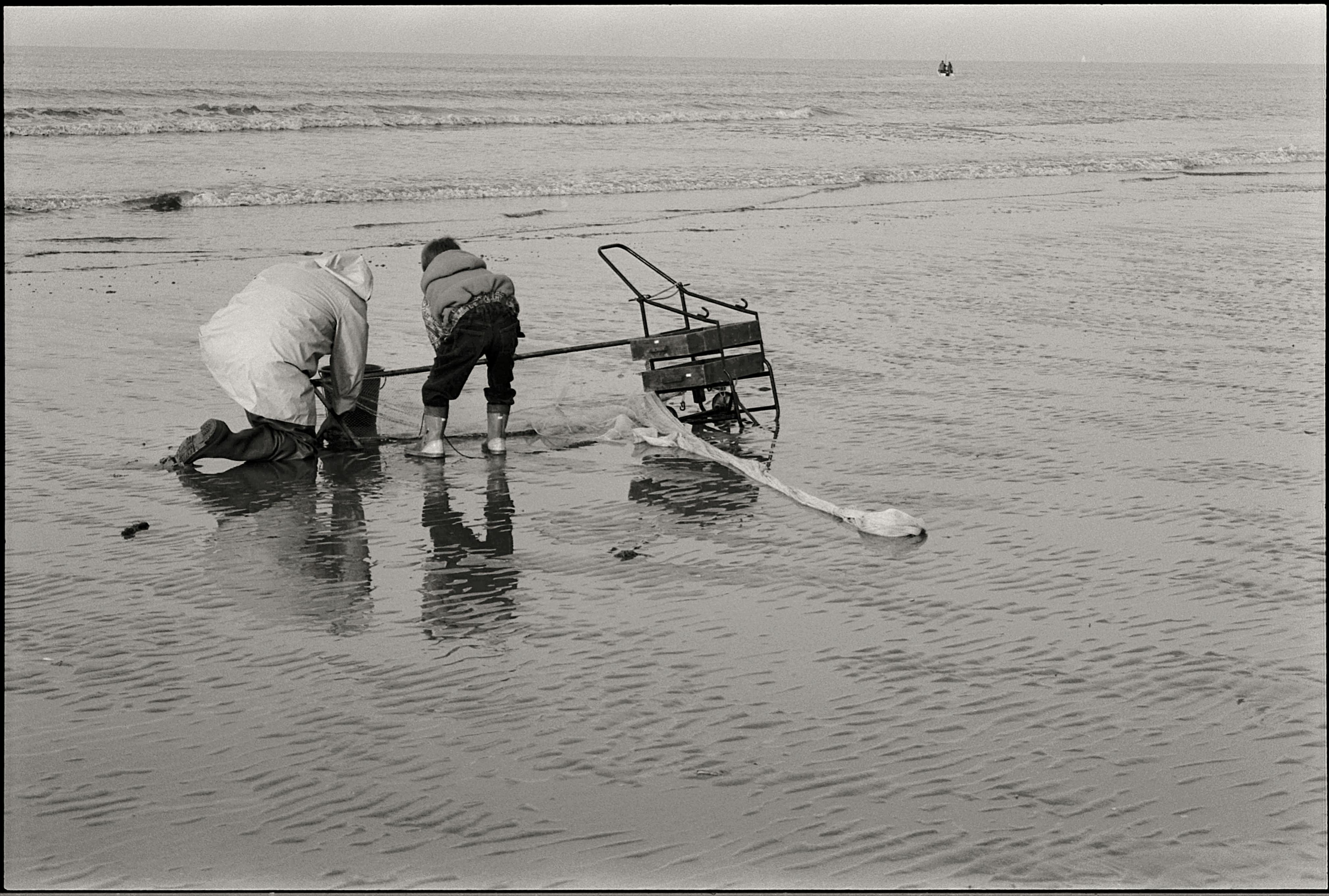 Beach Working Photos, Download The BEST Free Beach Working Stock Photos