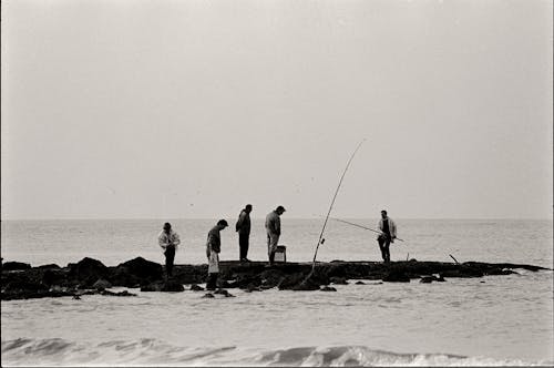 Balık tutmak, balık tutmak için ekipmanlar, balıkçılar içeren Ücretsiz stok fotoğraf