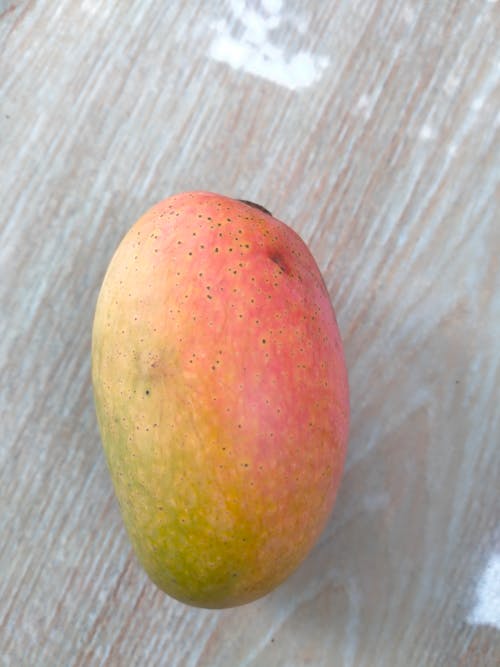 Photos gratuites de mangue