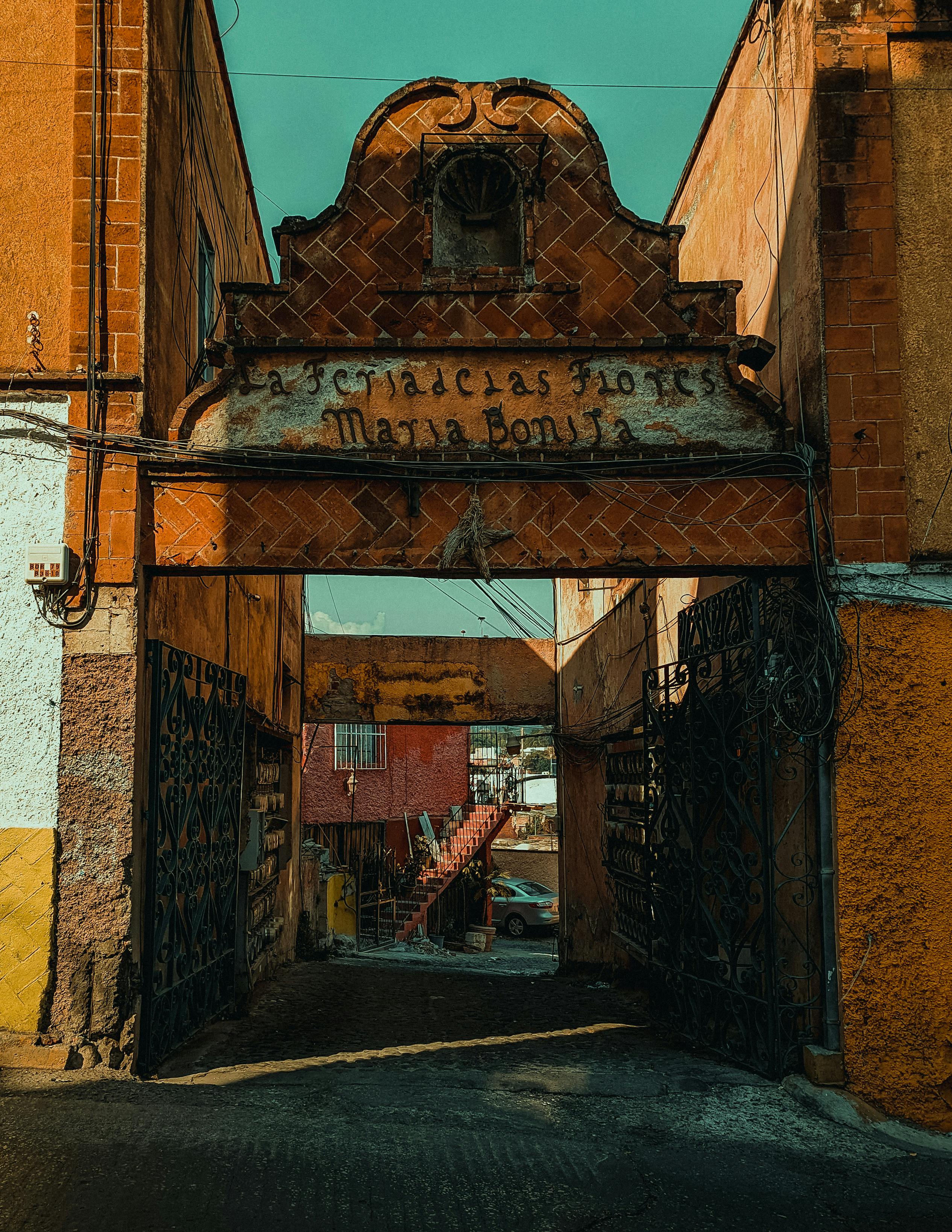 Alejandro Aldama 摄影