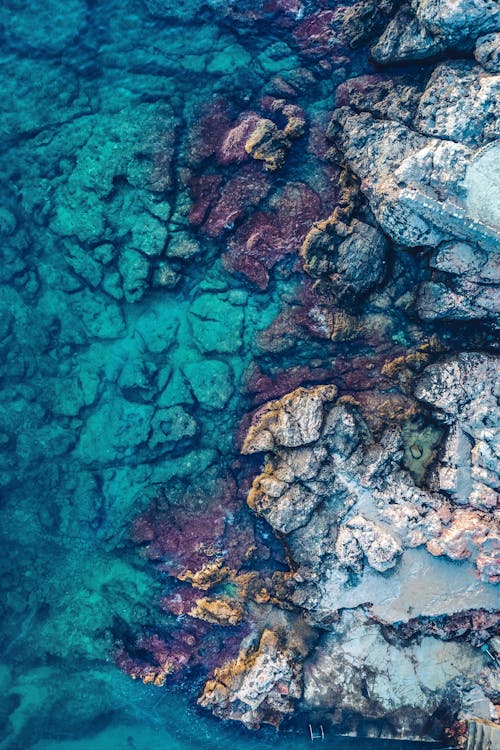 Shallow Water and Rocks on Shore