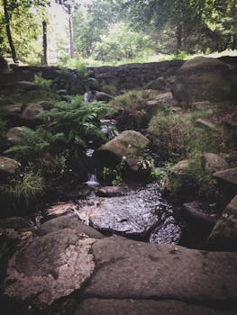 英国南约克郡的林地溪流宁静宜人，四周环绕着岩石和绿地