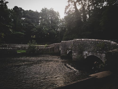 Kostenlos Steinbrücke In Der Nähe Von Bäumen Stock-Foto