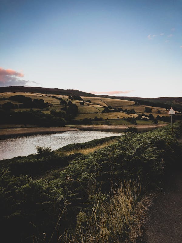 Body of Water Beside Farm Field