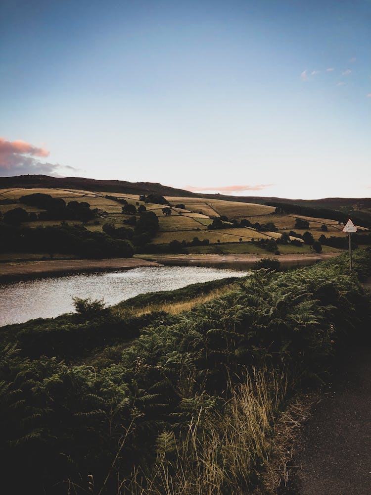 Body Of Water Beside Farm Field