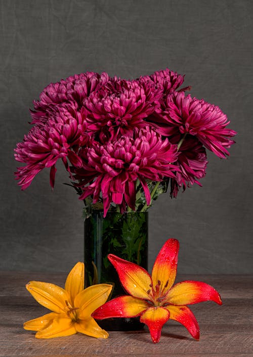 Foto profissional grátis de cachos, flores, fundo cinza