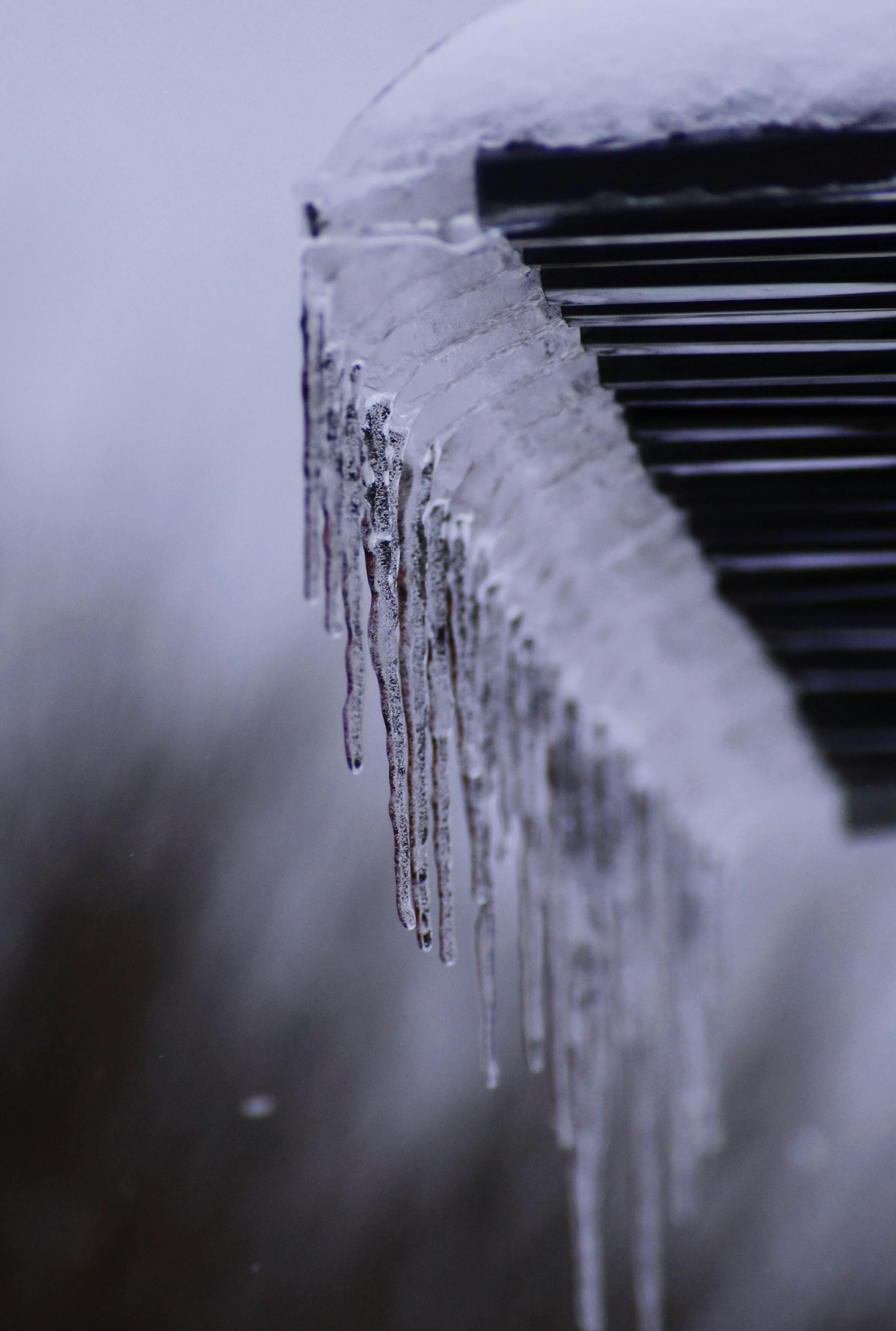 close up of frozen icicles