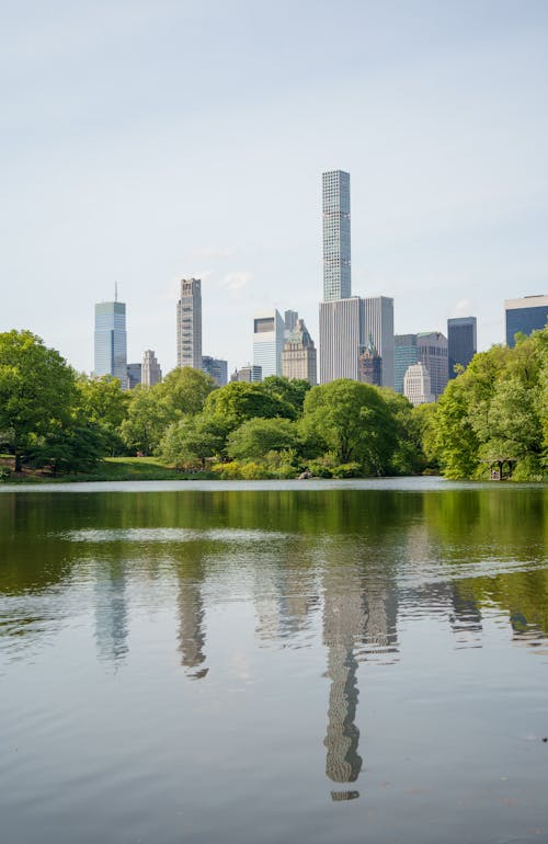 Foto profissional grátis de arranha-céus, árvores, central park