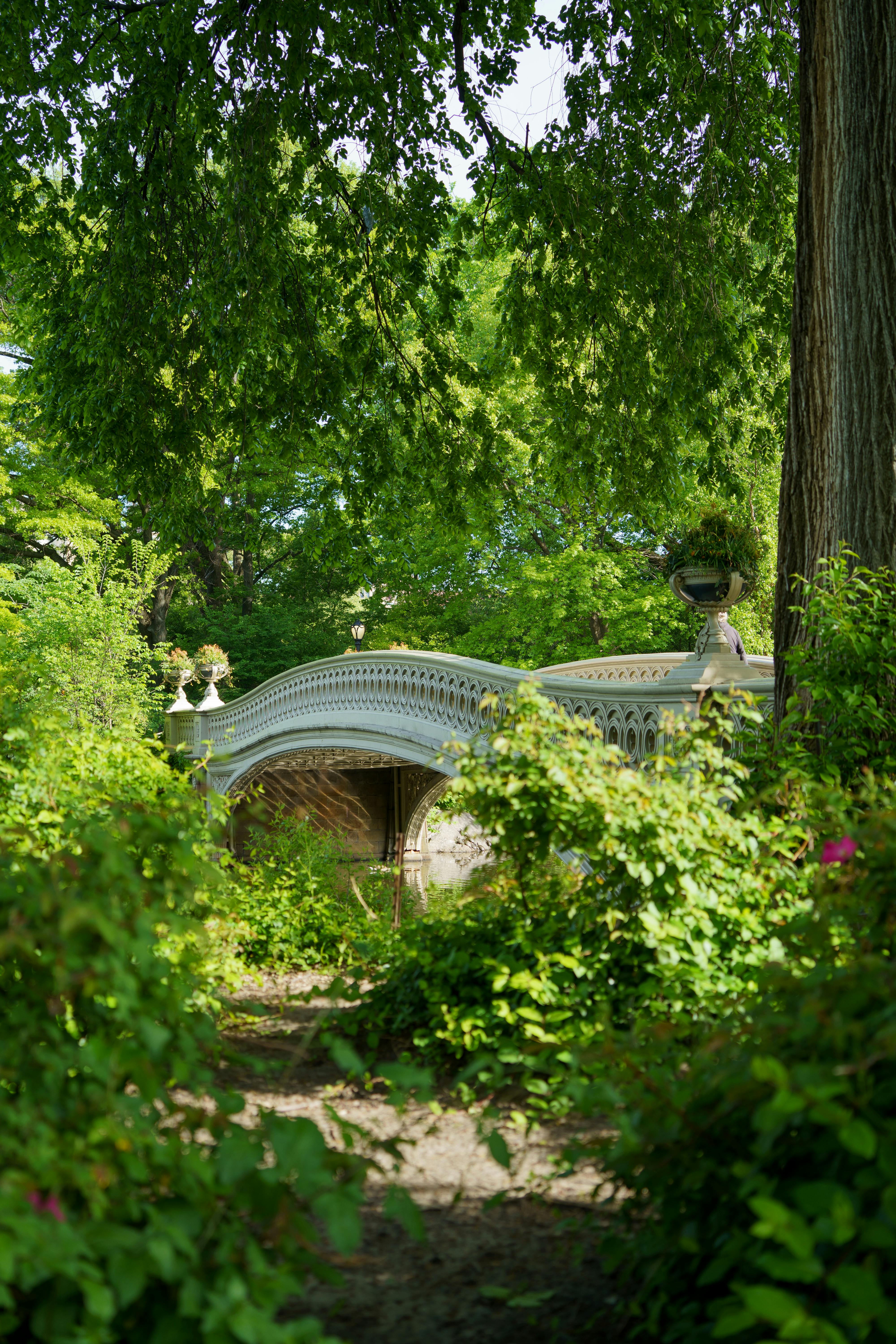 Bow Bridge in Summer