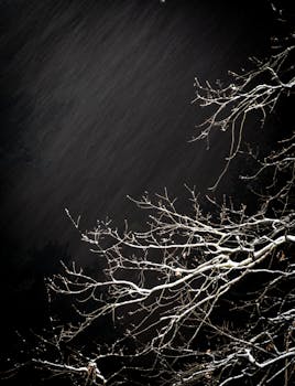 夜色诡异，白雪覆盖的树枝在黑暗的天空中勾勒出轮廓