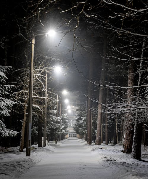 Photo of Pavement With Street Lights During Winter