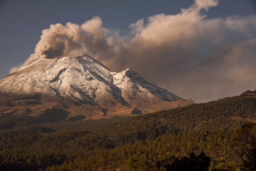 Volcano and Forest