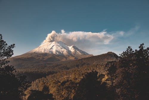 Volcano and Forest