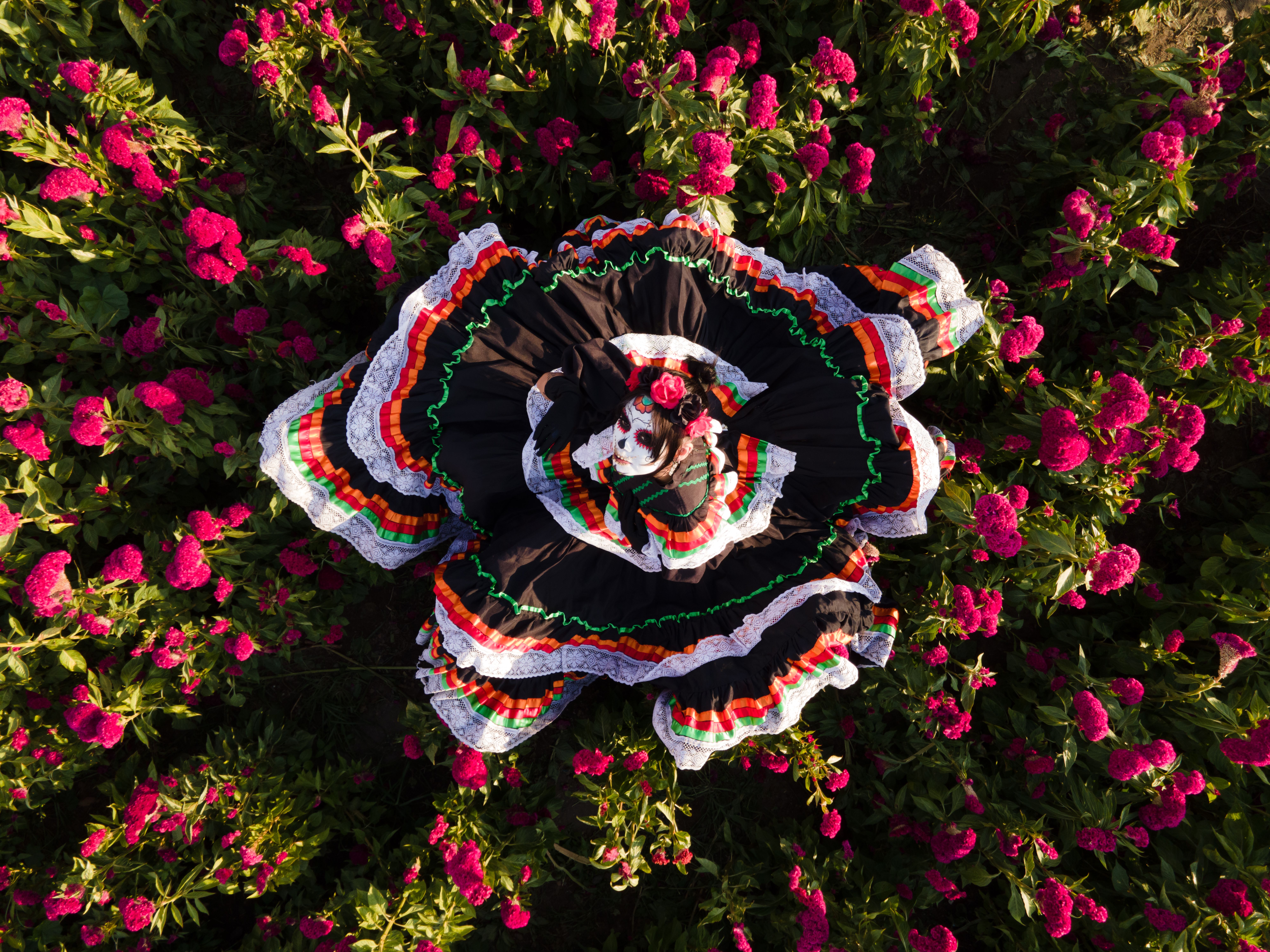 Dia Comum Photos Download The Best Free Dia Comum Stock Photos Hd Images