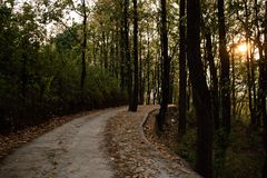 Robber's Cave walk