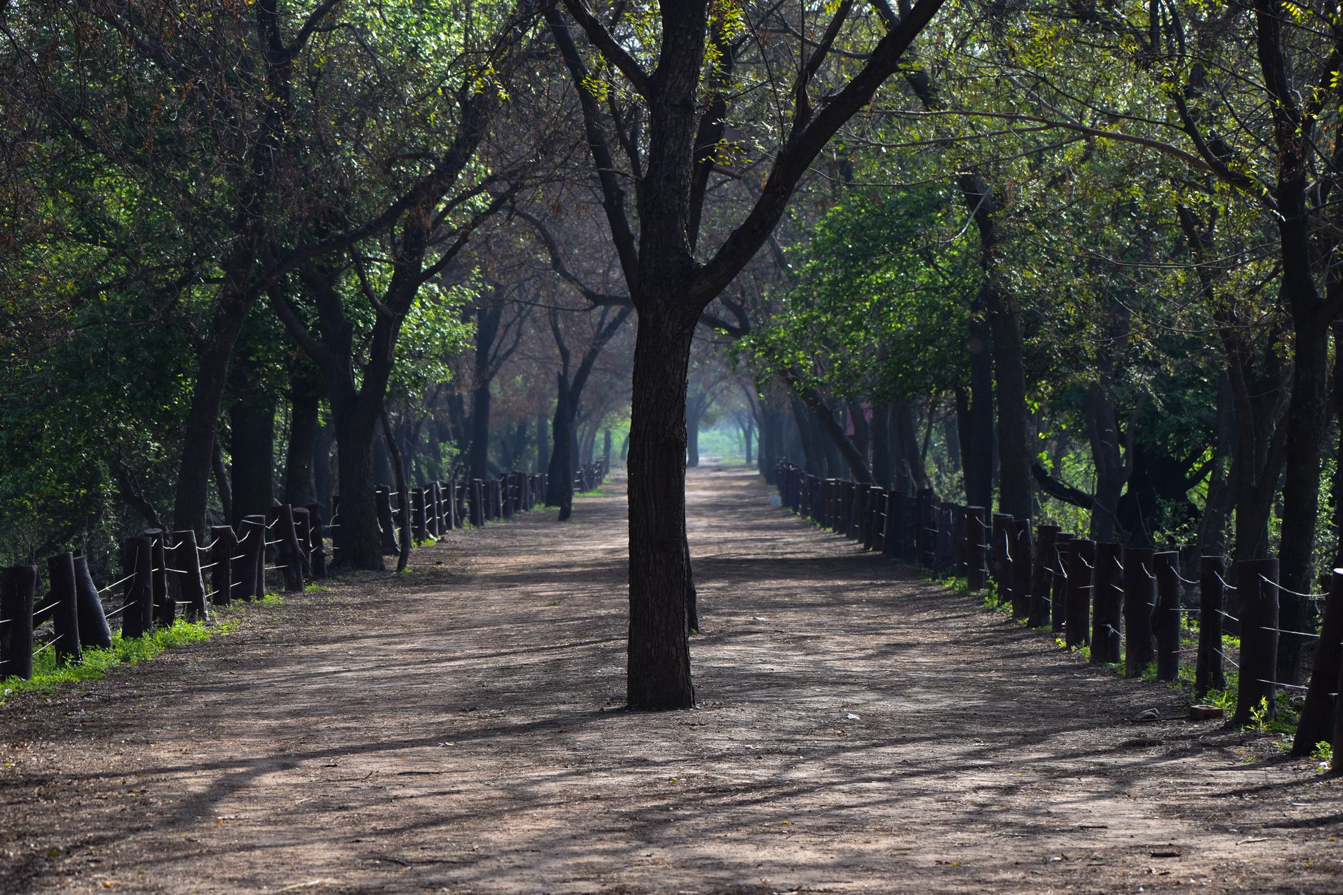 The 7 best parks and walks in Gurugram, ranked