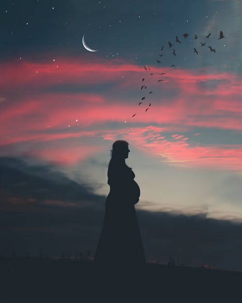 Free Pregnant Woman Under Cloudy Sky in Silhouette Photography Stock Photo