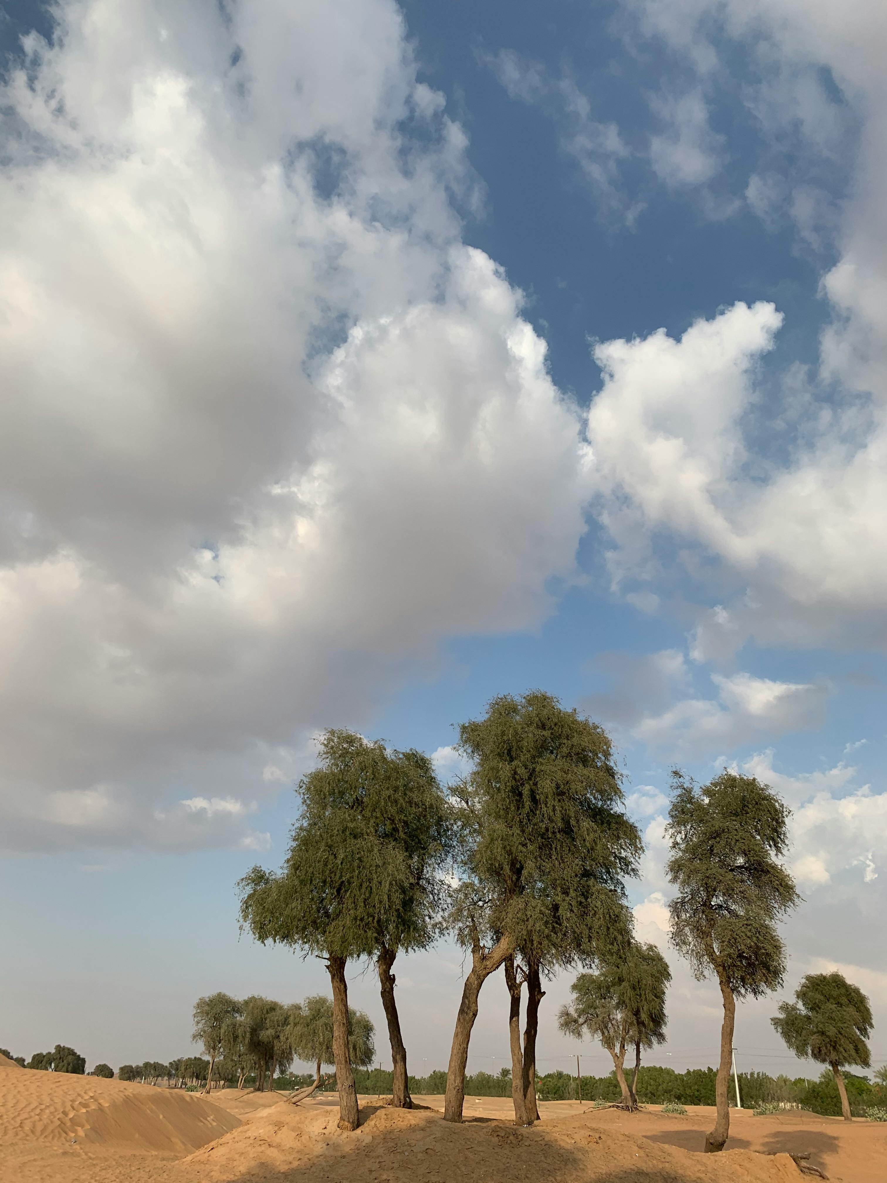 Free stock photo of cloud, day, desert