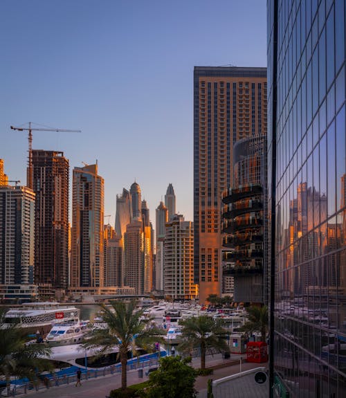 Boats Near High-rise Buildings Under Blue Skies